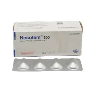 Nesotem 500