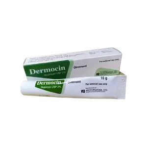 Dermocin Ointment 10 gm