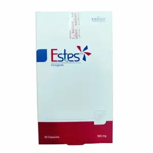 Estes 300