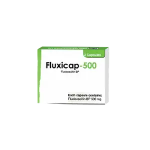Fluxicap 500