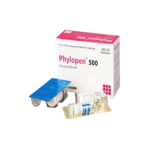 Phylopen - IM/IV 500