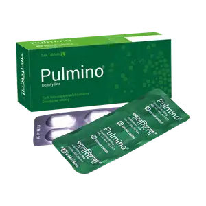 Pulmino 400
