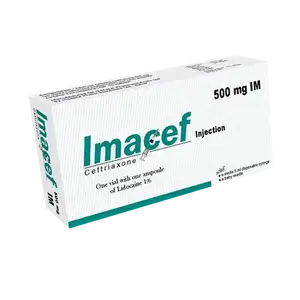 Imacef-IM 500