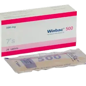 Winbac 500