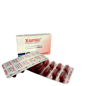 Xamic 500